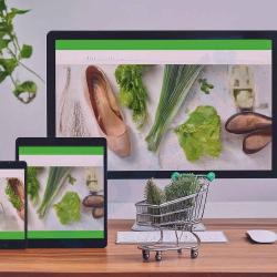 B2C E-Commerce Software