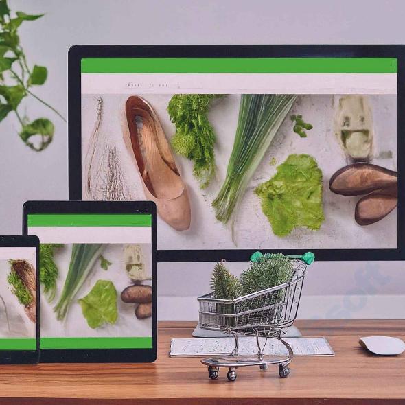 B2C E-Commerce Software